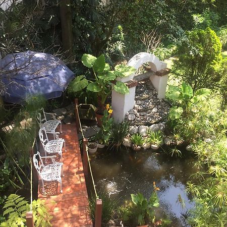 Villas Sol Y Luna Coyoacan 墨西哥城 外观 照片