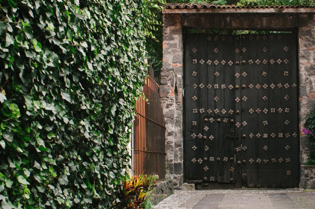 Villas Sol Y Luna Coyoacan 墨西哥城 外观 照片