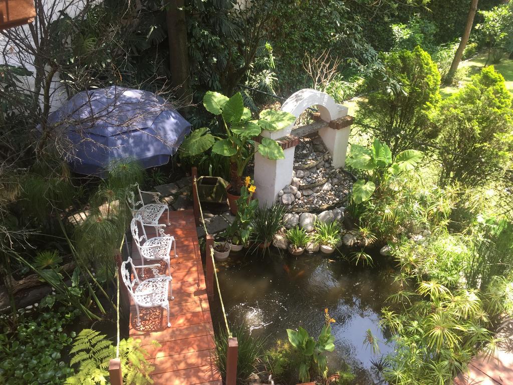 Villas Sol Y Luna Coyoacan 墨西哥城 外观 照片